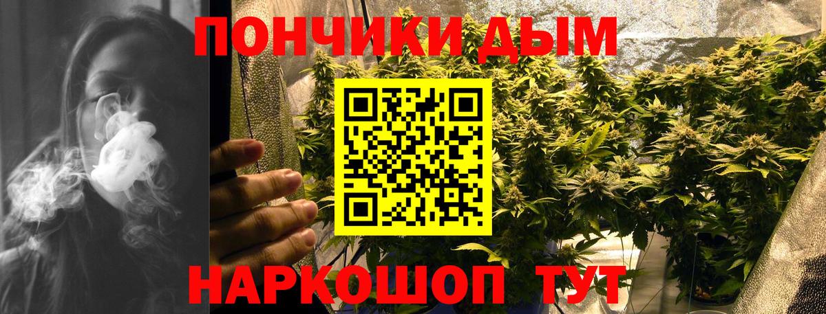Бошки марихуана сатива Сорочинск